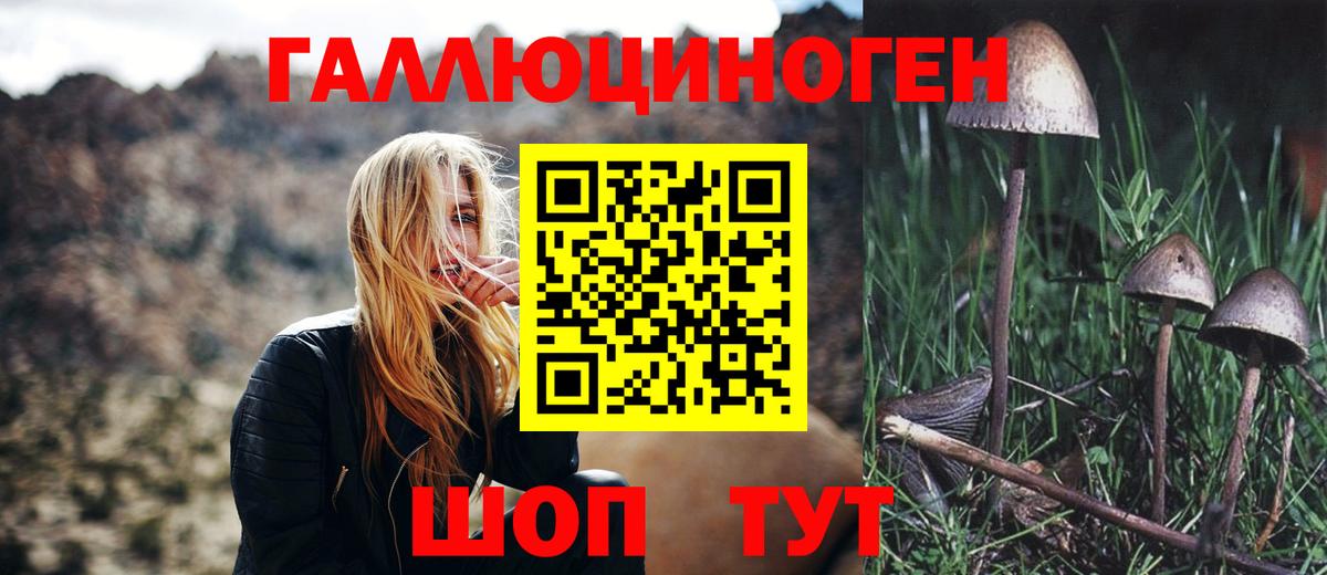 Галлюциногенные грибы ЛСД Ртищево