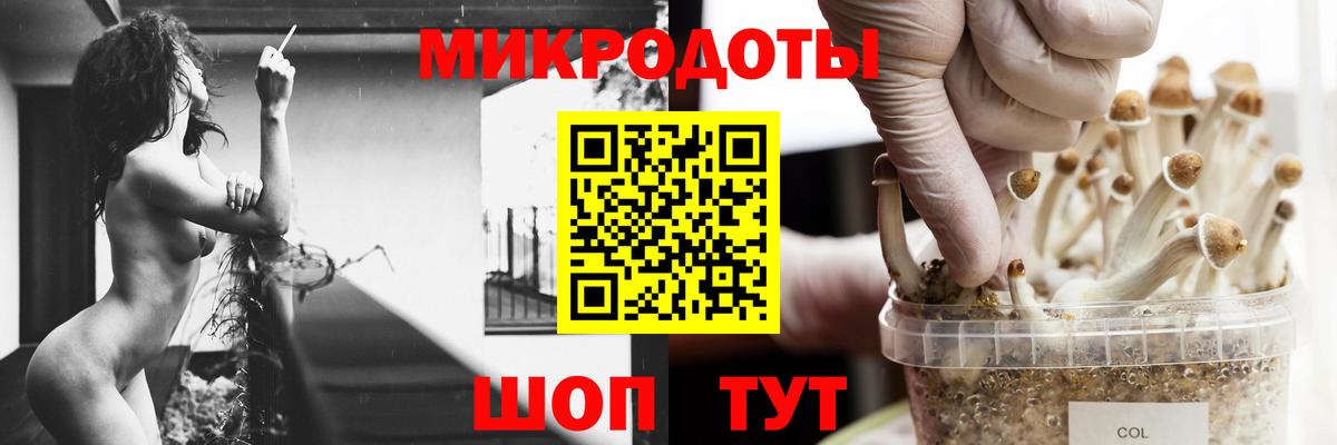 Гашиш Ртищево